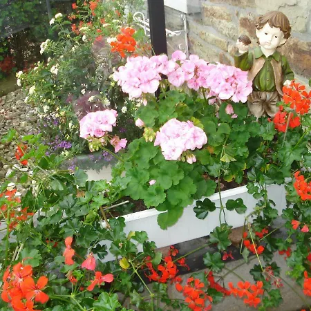 Location Panoramagreen ブルク・ロイラント