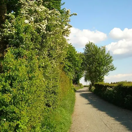 Location Panoramagreen Burg Reuland
