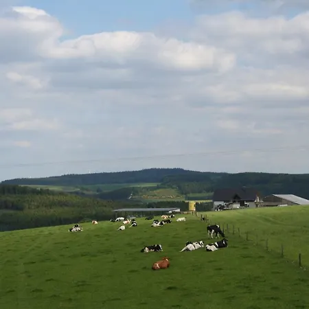 Location Panoramagreen ブルク・ロイラント